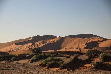 pustynia namib w namibii w popołudniowym słońcu