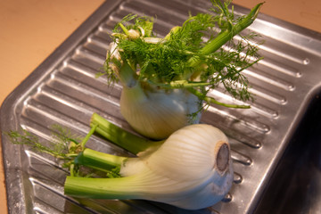 Der Fenchel ist die einzige Pflanzenart der Gattung Foeniculum innerhalb der Familie der...