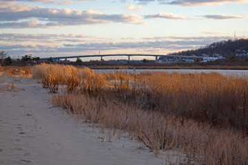 Sandy Hook Bay marshlands with the setting sun illuminating the golden grass at Highlands, New Jersey, USA -03