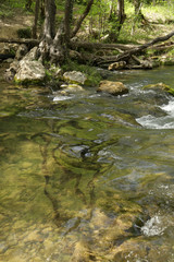 Stream with beuty water reflection in dright day on the first plan  and opposite bank with stones and beechs on background.