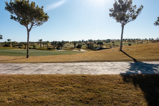 View Of A Golf Course Between Two Tall Trees And A Golf Cart Path In The Foreground