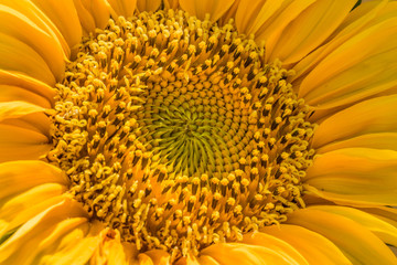 La naturaleza del mundo