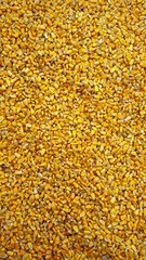 Yellow Corn