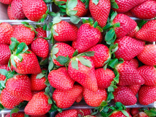 background of juicy fresh strawberry close up