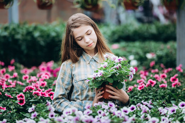 young beautiful long-haired girl in a greenhouse with colorful flowers petunias in spring