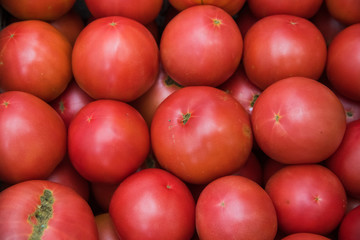 Juicy red tomatoes close up