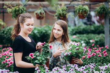 Two beautiful Slovenian girls in a greenhouse discussing seedlings of colorful flowers. Shopping, gardening. Ecology