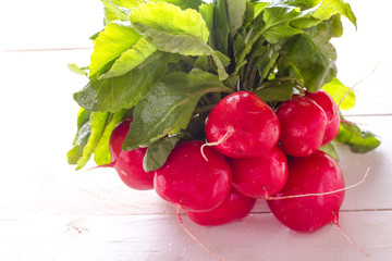 bunch of fresh radish close