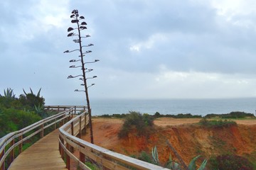 Fototapeta na wymiar vista di Ponta da Piedade, uno spettacolare promontorio roccioso lungo la costa della città di Lagos nella regione portoghese dell'Algarve. 