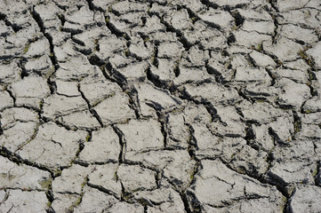 Part of a huge area dried land suffering from drought - in cracks. Dry water reservoir. Dry clay soil texture, natural floor background.