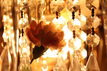 flower on silver light background