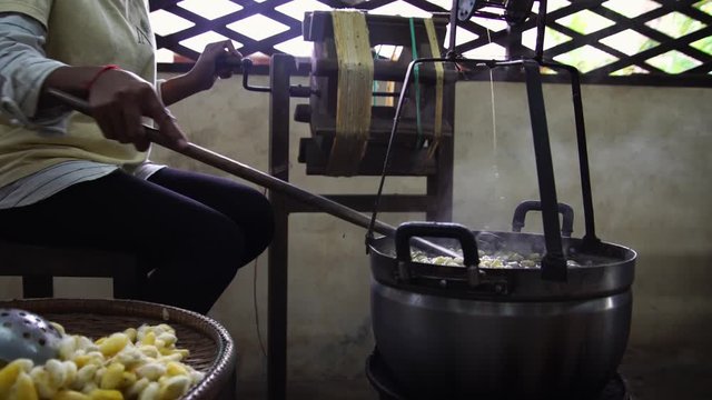 Reeling the silk, separating silk thread from silk cocoon. raw silk handmade production in village factory. before silk is woven into textiles.