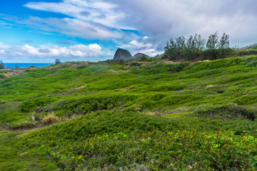 Green lush hill with Kahakuloa Head in the distant background in Maui, Hawaii.