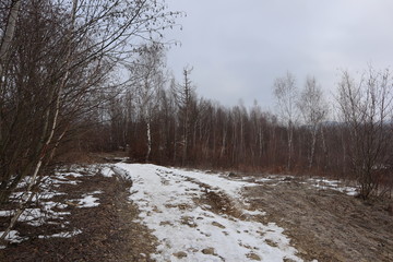 mountain track in early winter