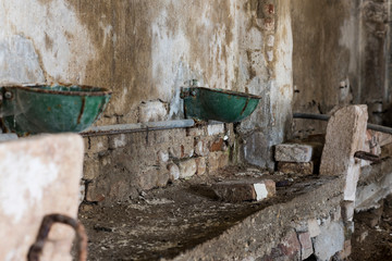 Details of an abandoned stable