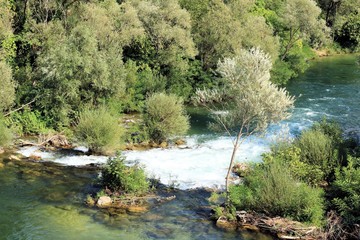 lovely narure of the Cetina river, Croatia