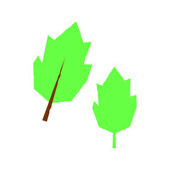 Leaf illustration vector