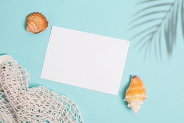 Seashells and palm shadow on blue background, top view