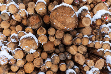 aufgetürmte Baumstämme