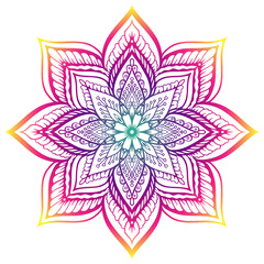 Vector mandala with floral element. Mandala with ethnic motives