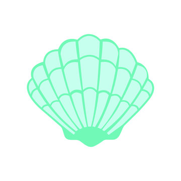 seashell turquoise illustration vector