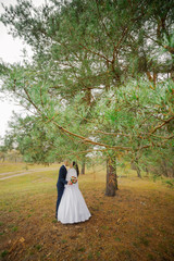 Happy bride and groom stand by the pine tree and hug.