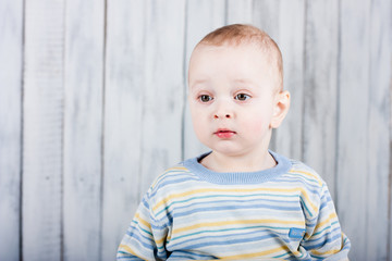 Portrait of little handsome cute boy. Indoor photo shot. Empty space for your text