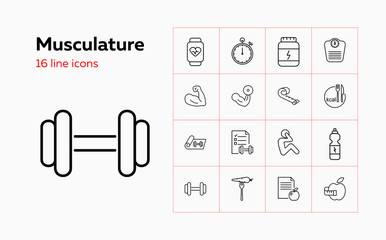 Musculature icons. Set of line icons. Bodybuilding, dieting, sport nutrition. Fitness concept. Vector illustration can be used for topics like healthy lifestyle, sport, losing weight