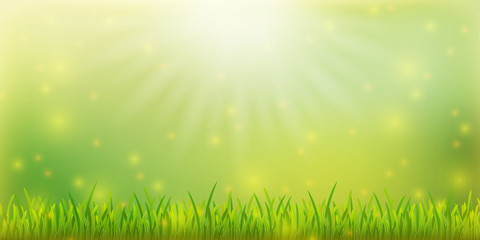 Obraz premium Spring banner template with grass on colorful background. Card for spring season with lights and green nature. EPS 10
