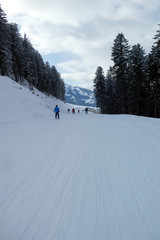 Skiabfahrt von der Steinbockalm nach Maria Alm