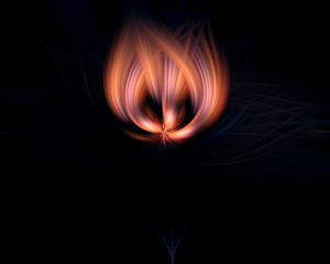 Abstract Twisted Light Fibers