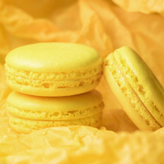 Yellow macaroons on yellow paper tissue. Monochrome