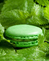 Green macaroon lying on fresh melissa leaves