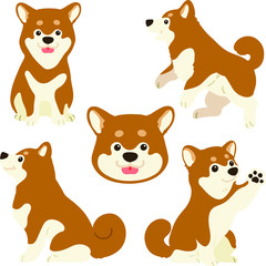 Set of flat colored cute brown Shiba Inu illustrations 