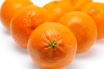 One Tangerine In Focus With Others