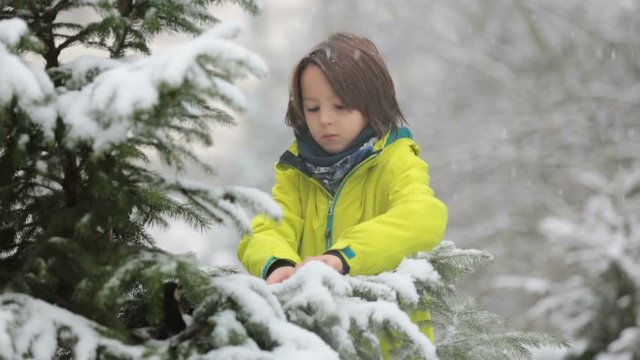 Sweet toddler boy, playing with snow on playground, kid play with snow
