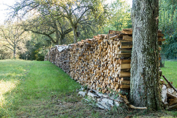 Brennholzlager auf einer Wiese © focus finder