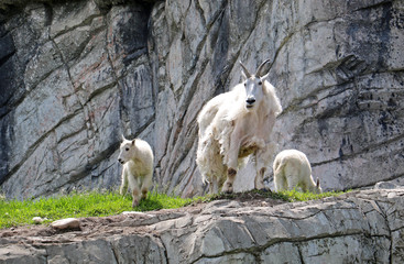 Mum of two