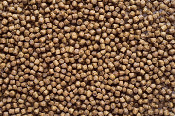 cat food closeup, food for small kittens