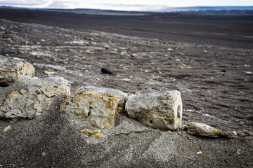 Fototapeta na wymiar Uncovered Dinosaur bones fossilized beneath the sands in the Nazca desert. Ica, Peru