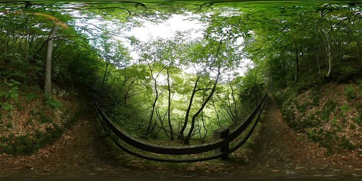 Uhd 4K 360 VR Virtual Reality Of A Beautiful Mountain Forest Landscape