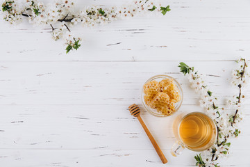 Spring composition. A cup of herbal tea and a jar of honey on a white wooden background, cherry flowers top view. Place for text. Healthy food concept.