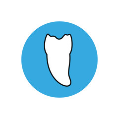 Vector isolated illustration of tooth 