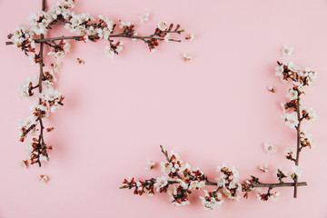 Frame with spring flowers cherry blossoming on a pink background. Top view with copy space. Flat lay