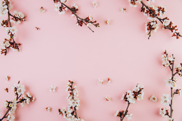 Spring flowers cherry blossoming on a pink background. Top view with copy space. Flat lay