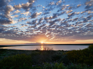 Beautiful sunset aat a lake in Australia with some bushes and dramatic clouds
