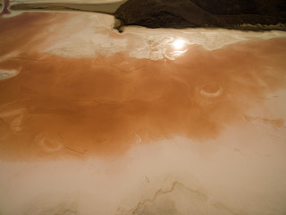 Koyashskoe pink salt lake in Crimea