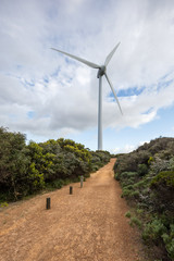 Fototapeta na wymiar A solitary wind turbine at Albany wind farm in Western Australia