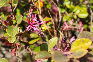 Photos to help admire nature and the beauty it exhibts. 