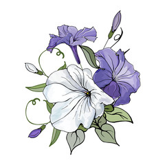 Bouquet of white, violet flowers petunia, buds and green leaves. Isolated on white background. Hand drawn. Floral composition for wedding invitation, greeting cards. Vector stock illustration.